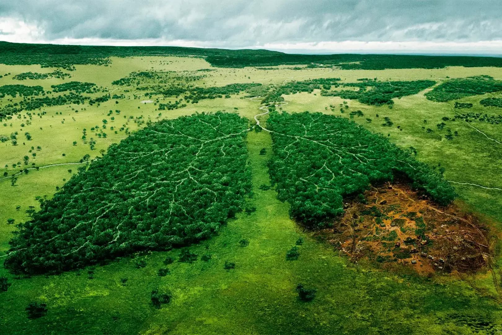 Pós-Graduação EAD em GEOGRAFIA AMBIENTAL