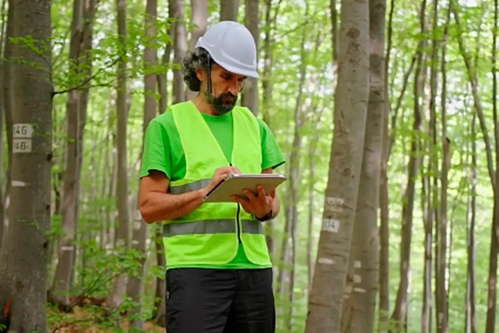 Pós-Graduação EAD em AUDITORIA E PERÍCIA AMBIENTAL