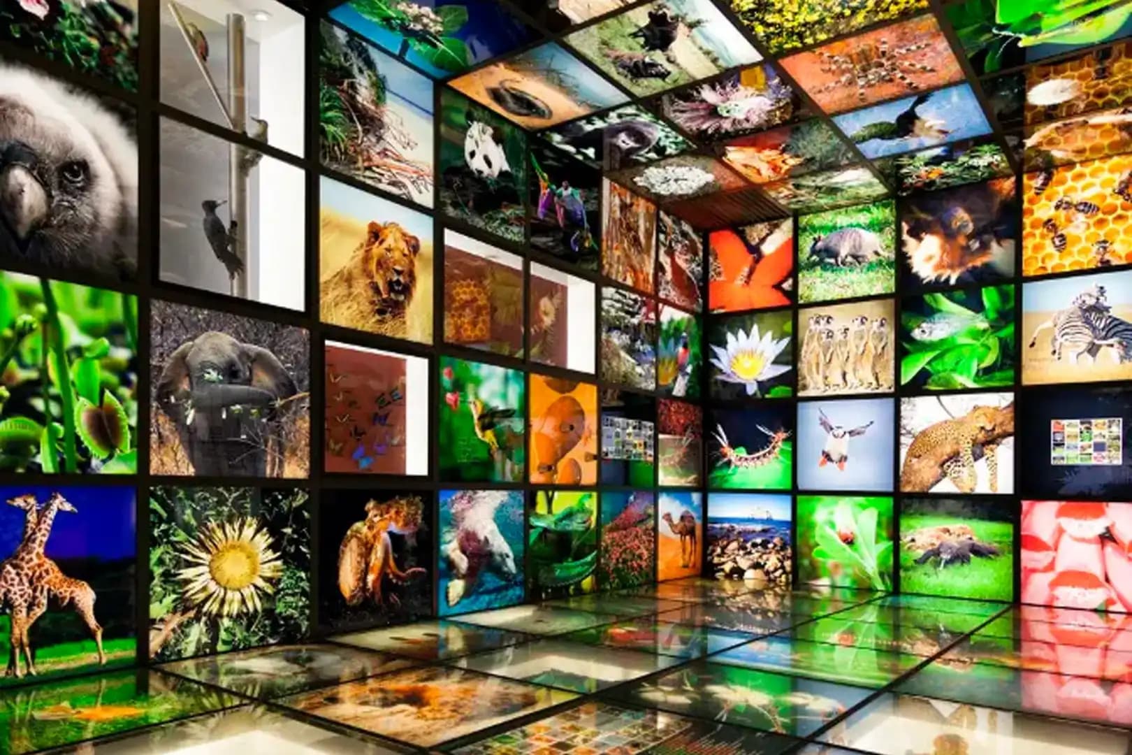 Pós-Graduação EAD em BIOLOGIA VEGETAL E BIODIVERSIDADE