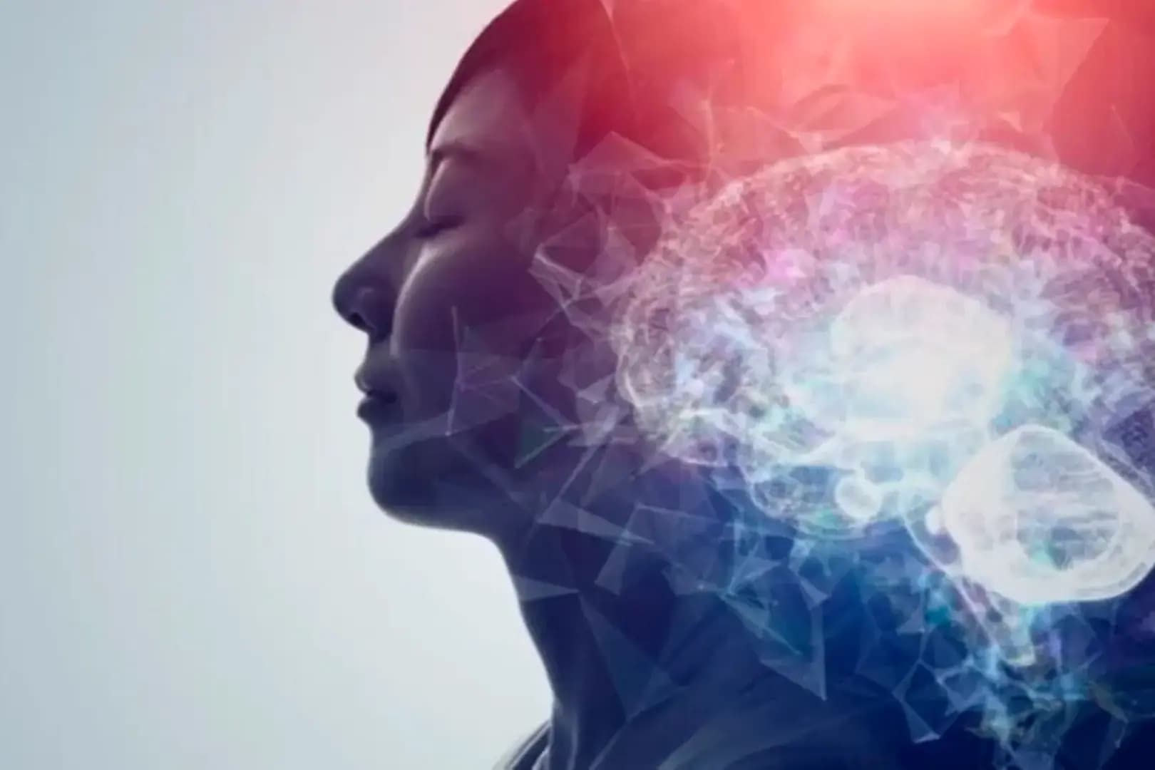 Pós-Graduação EAD em DOCÊNCIA DO ENSINO SUPERIOR E NEUROPSICOLOGIA