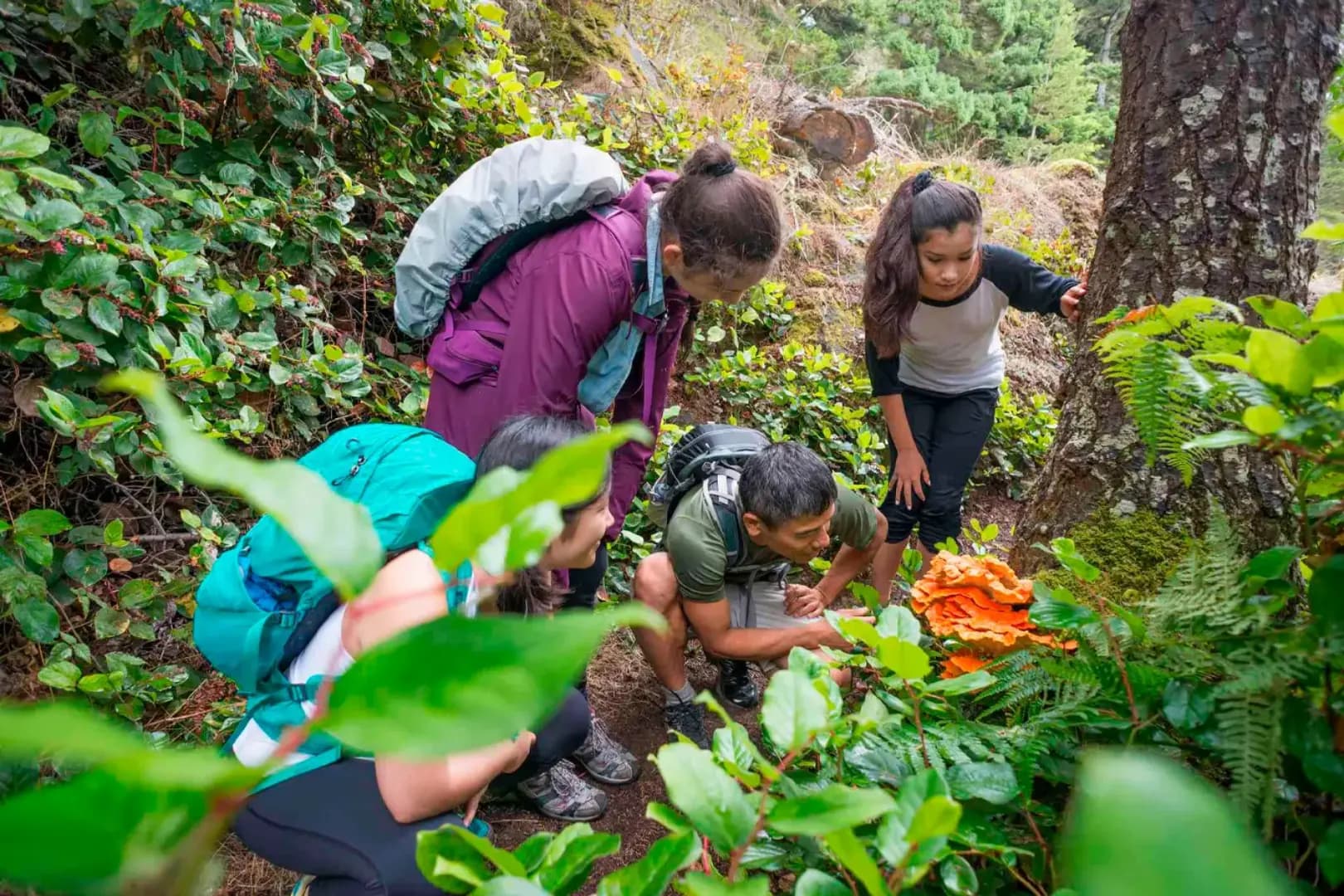 Pós-Graduação EAD em EDUCAÇÃO AMBIENTAL E SUSTENTABILIDADE
