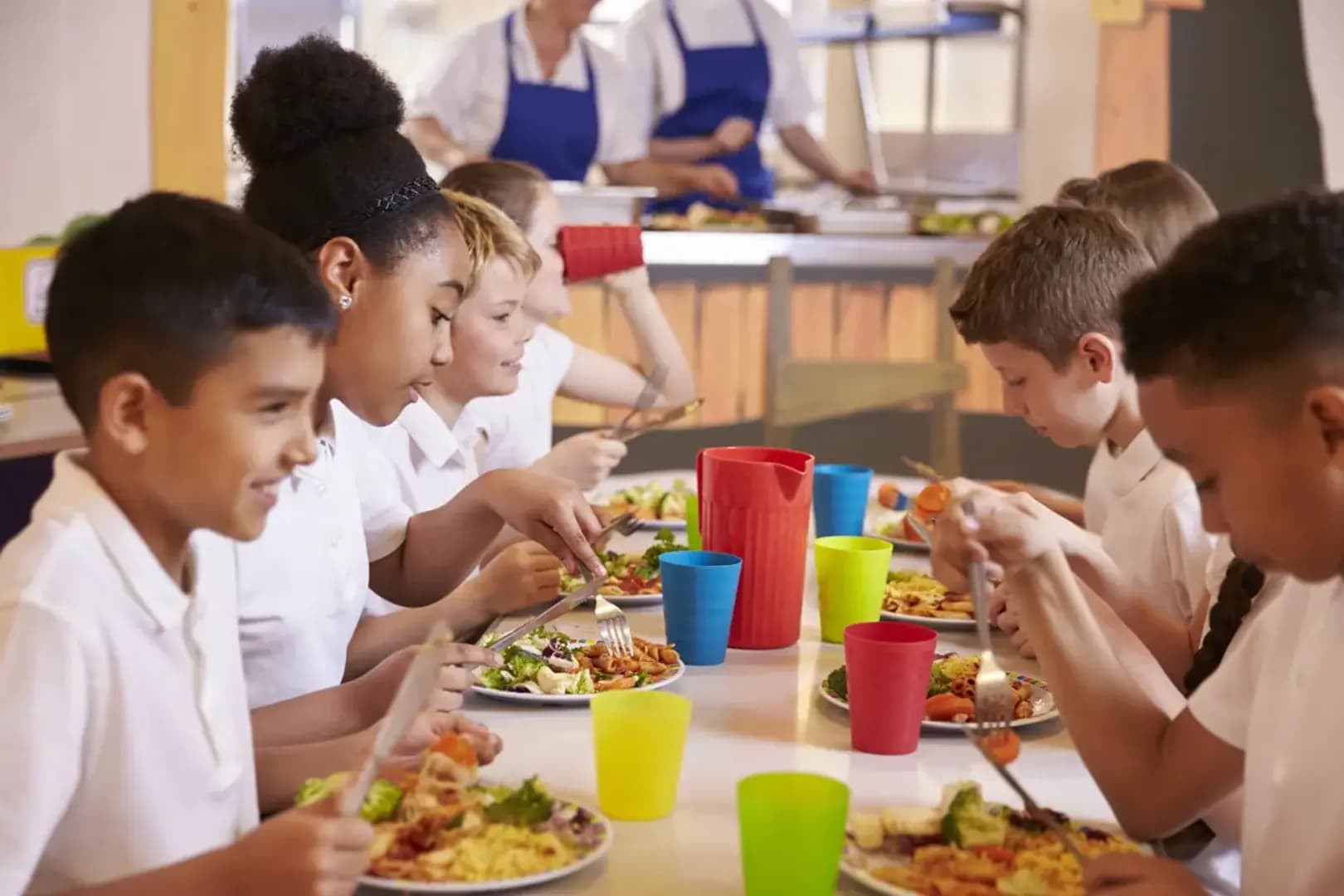 Pós-Graduação EAD em NUTRIÇÃO EM ALIMENTAÇÃO ESCOLAR