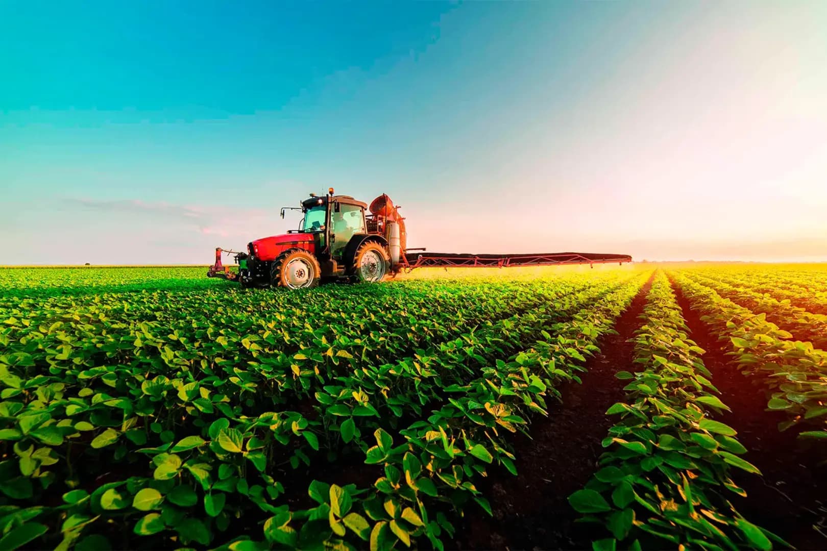Pós-Graduação EAD em MBA EXECUTIVO EM GESTÃO DE CIDADES E AGRONEGÓCIOS