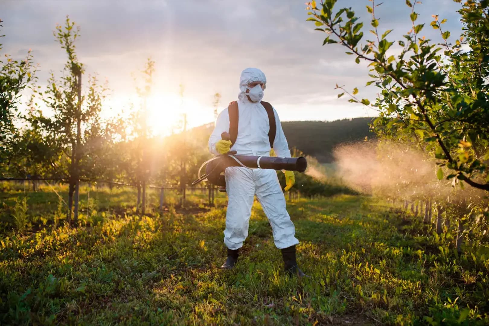Pós-Graduação EAD em SEGURANÇA DO TRABALHO E MEIO AMBIENTE