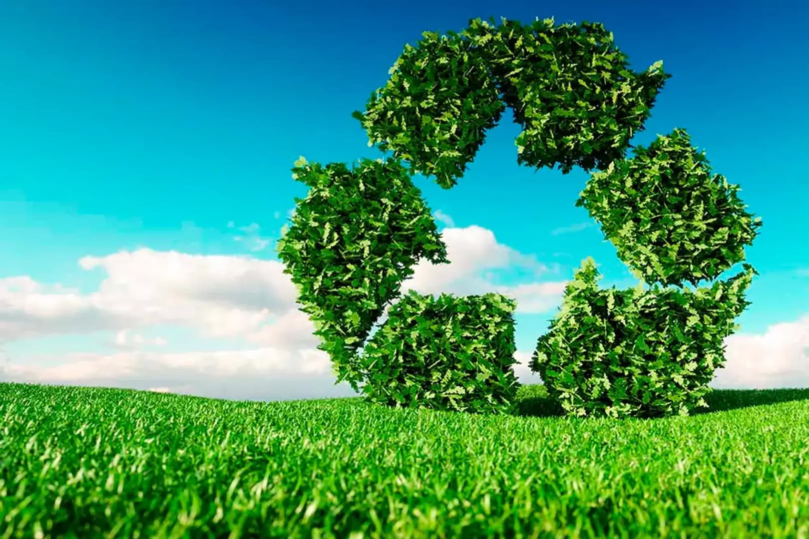 Pós-Graduação EAD em DIREITO AMBIENTAL E SUSTENTABILIDADE