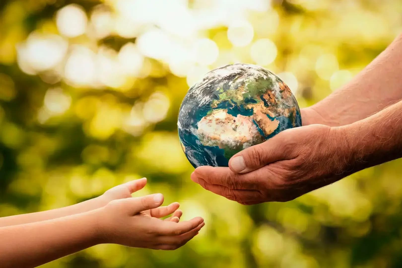 Pós-Graduação EAD em EDUCAÇÃO AMBIENTAL