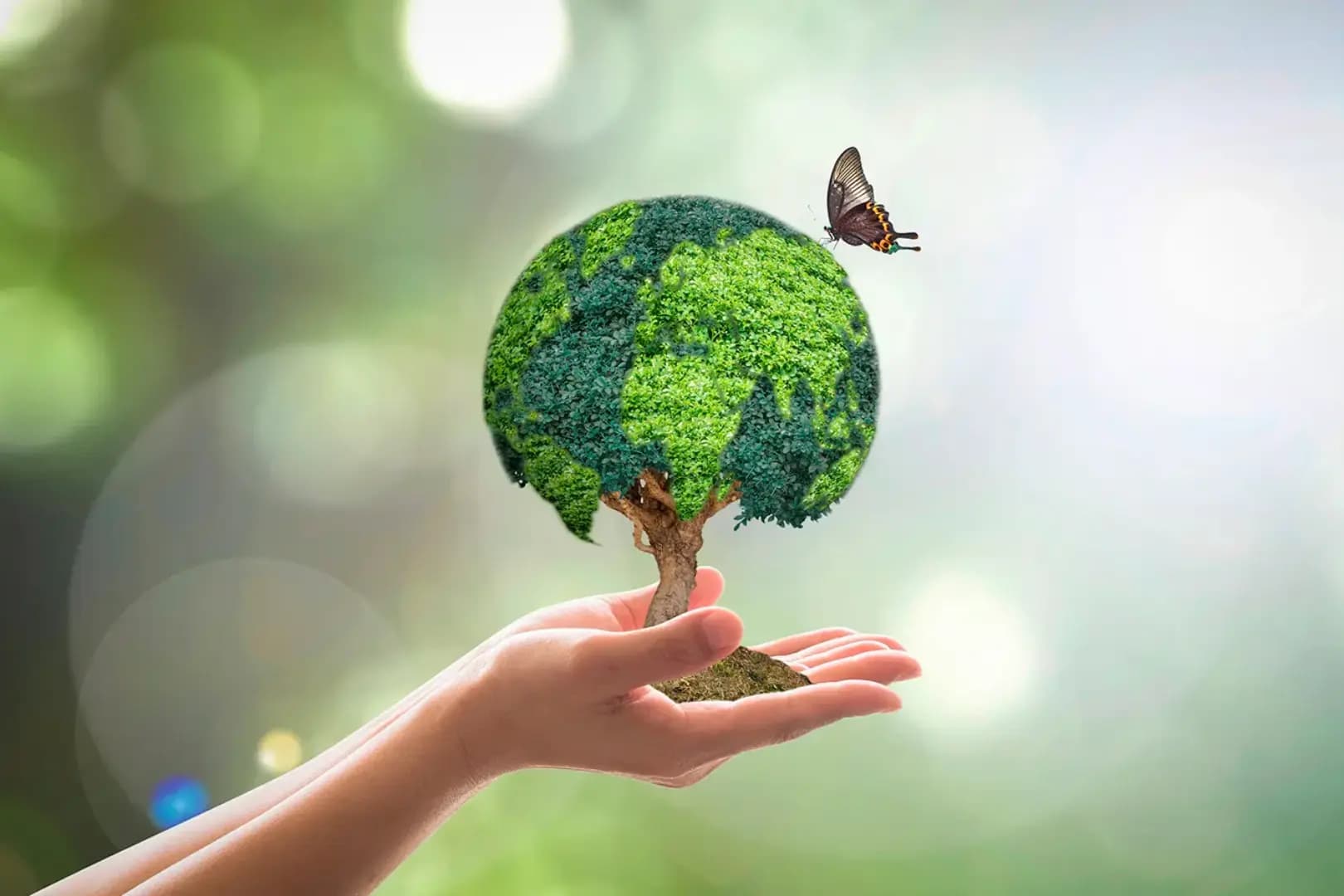 Pós-Graduação EAD em MBA EM GESTÃO AMBIENTAL