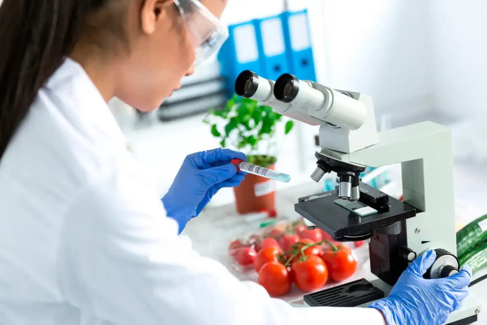 Pós-Graduação EAD em BIOLOGIA VEGETAL