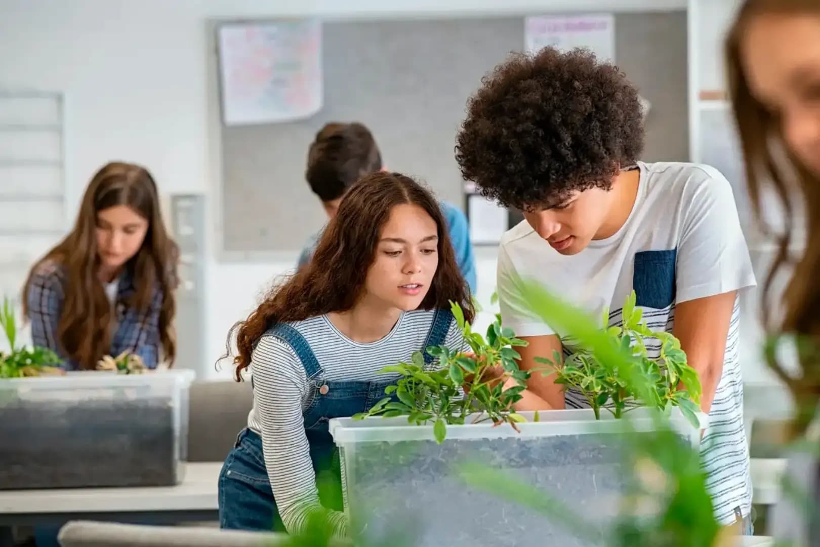 Pós-Graduação EAD em ENSINO DE BIOLOGIA
