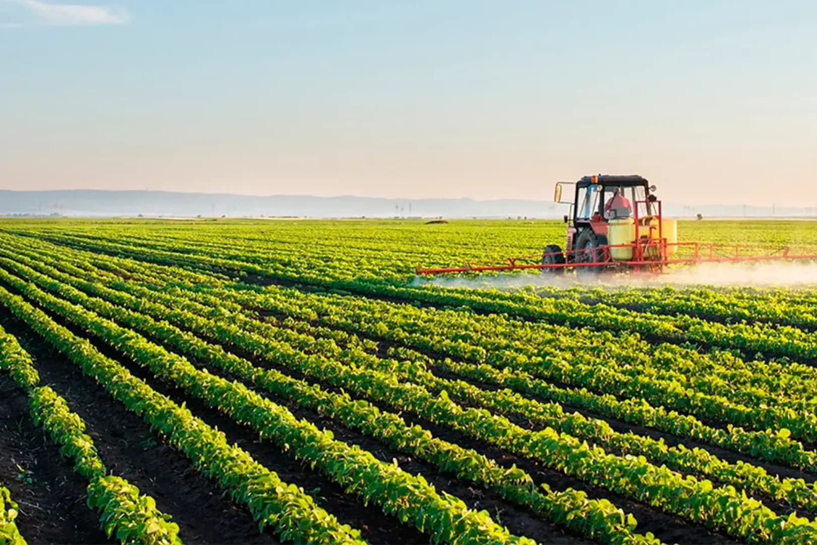 Pós-Graduação EAD em AGRONEGÓCIO