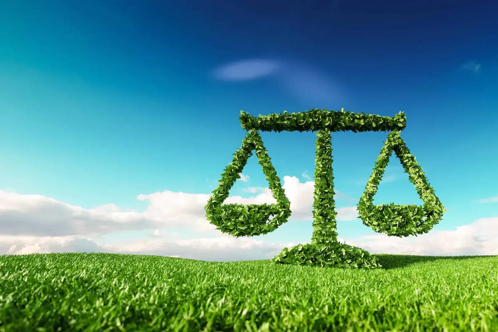 Pós-Graduação EAD em DIREITO AMBIENTAL