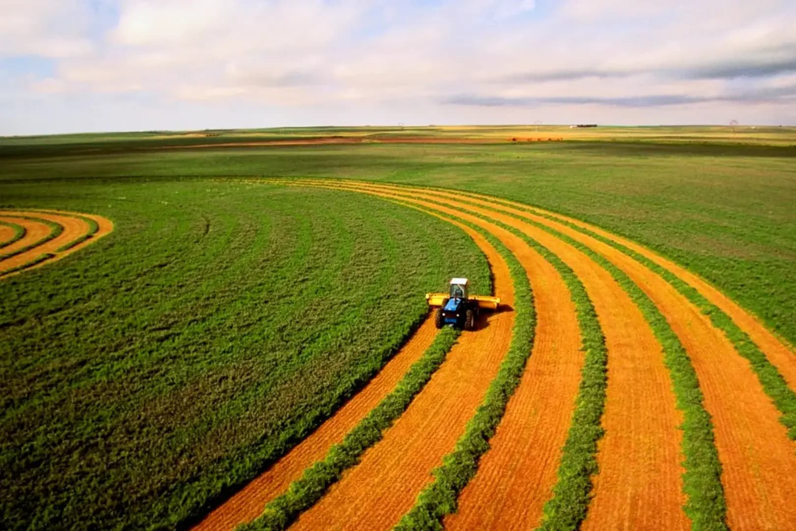 Pós-Graduação EAD em AGRONOMIA